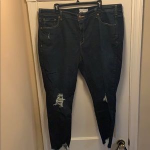 Lane Bryant Jeans